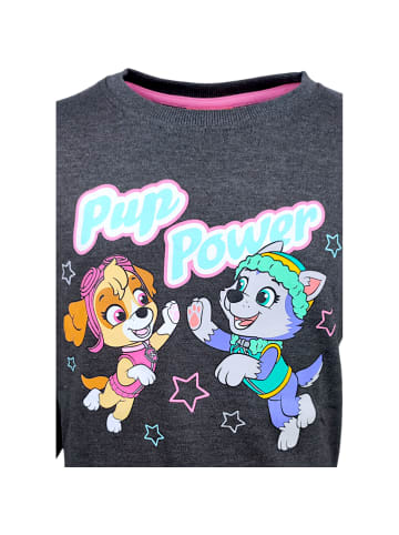 Paw Patrol Sweatshirt Paw Patrol Skye in Grau