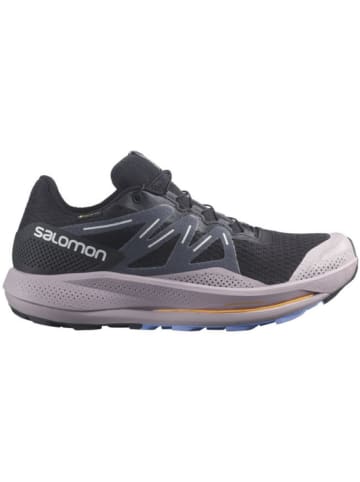 SALOMON Laufschuhe SHOES PULSAR TRAIL GTX in Grau