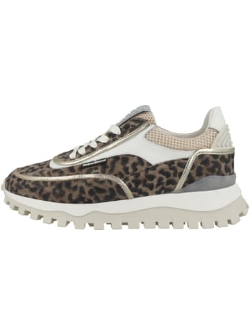 Floris van Bommel Sneaker low Grommi 02.05 in braun