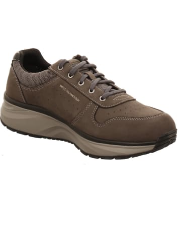 Joya Sneaker Low in braun