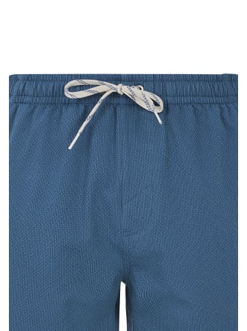 Protest " PRTWytona in Raku Blue