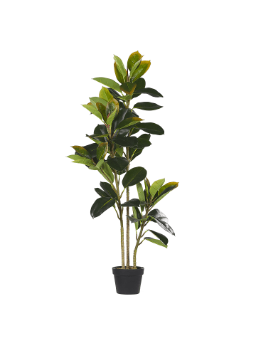 Beliani Kunstpflanze FICUS ELASTICA in Grün/Schwarz - (W) 18 x (H) 134 x (L) 18 cm