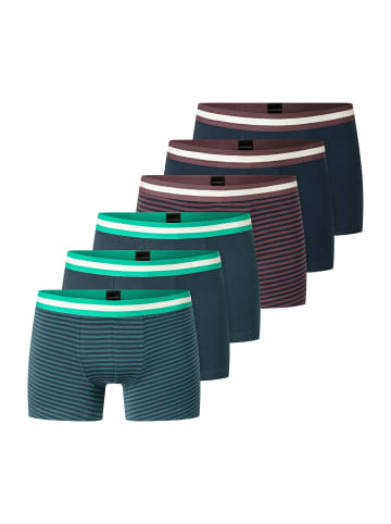 Schiesser Trunk 955 Multi in sortiert12