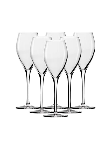 Stölzle 6er Set Champagnergläser Vinea 210 ml in transparent