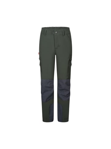 Trollkids Funktionshose Hammerdalen in ivy
