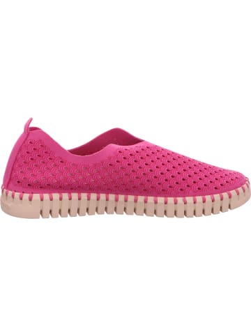 Ilse Jacobsen Slipper in violett