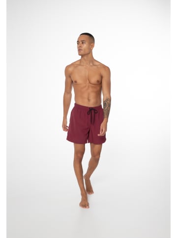 Protest " FASTER in Dark Cherry