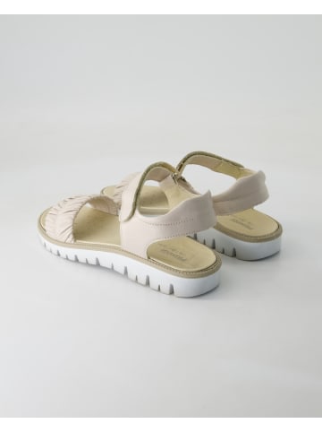 Primigi Sportschuhe in Beige