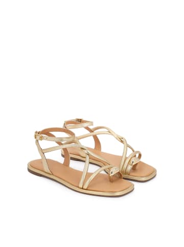 Kazar Sandaletten in Gold