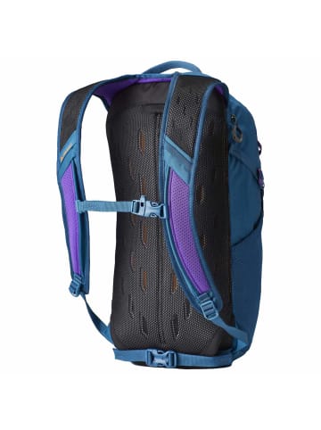 Gregory Nano 18 - Rucksack 49.5 cm in icon teal