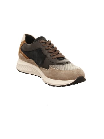 Mephisto Sneaker in braun