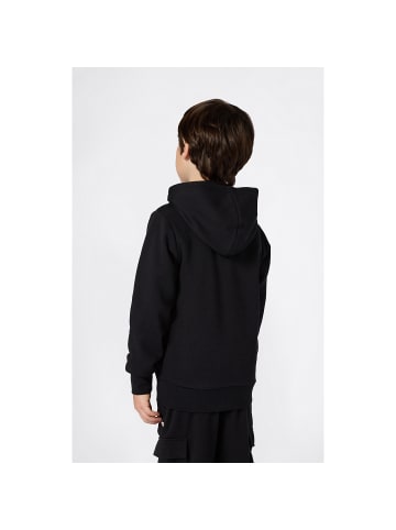 Champion Pullover Hooded Sweatshirt in Schwarz