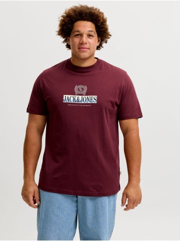 JACK & JONES PLUS T-shirt in Chocolate Truffle