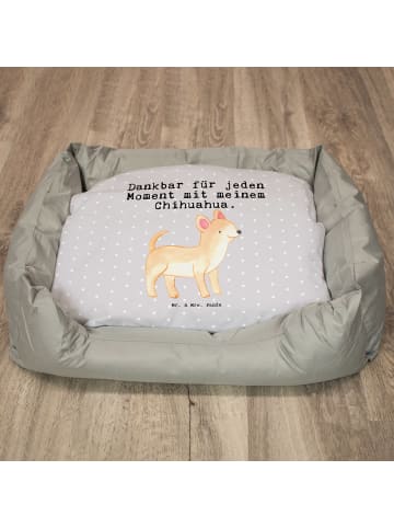 Mr. & Mrs. Panda Kuschelbett Chihuahua Moment mit Spruch in Grau Pastell