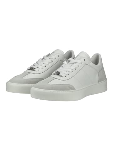 Steve Madden Sneaker Weiß/Grau