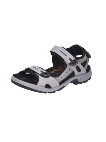 Ecco Outdoorsandalen Offroad in concrete/wild/dove