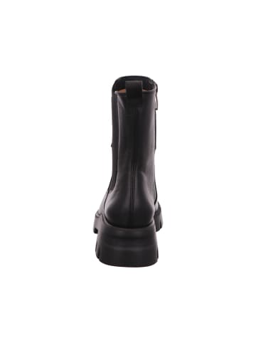 Paul Green Stiefel in schwarz