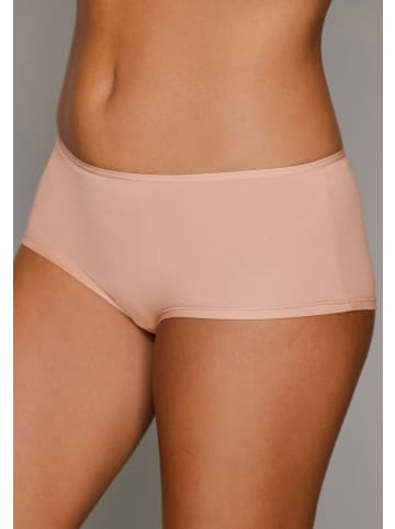 LASCANA Panty in beige, sand
