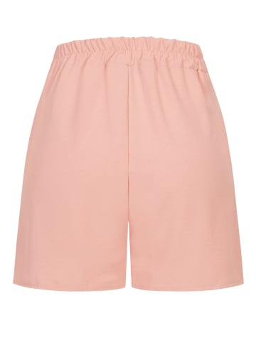 Cloud5ive Cloud5ive Shorts in rose