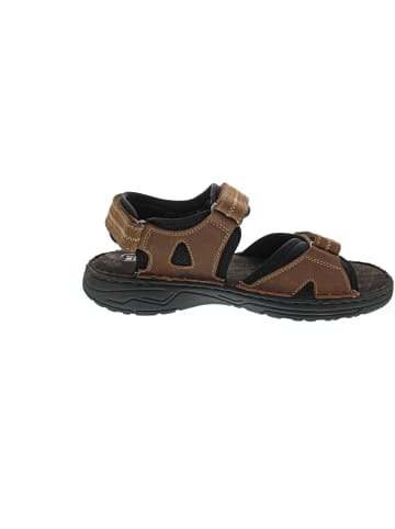 Camel Active Sandale Braun