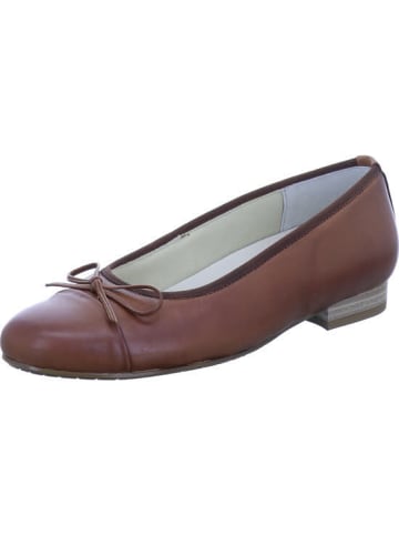 Semler Pumps in braun