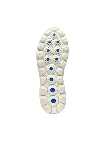 Geox Schnürsneaker Spherica Plus Beige