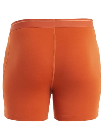 icebreaker M ANATOMICA BOXERS in Orange