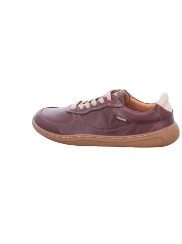 Pikolinos Schnürschuh in braun