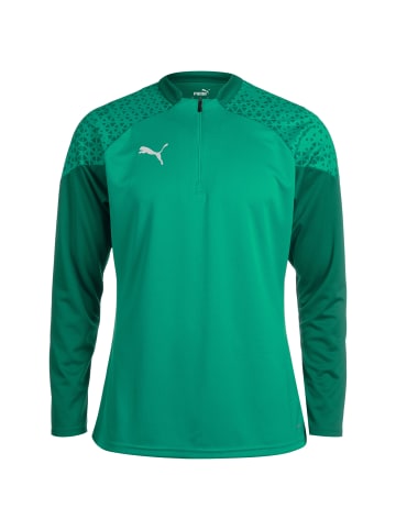 Puma Trainingspullover teamCUP 1/4 Zip in grün / dunkelgrün