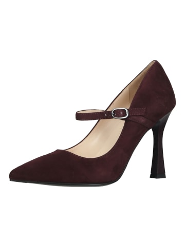 Nero Giardini Pumps in Bordeaux