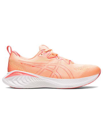 asics Laufschuhe GEL-CUMULUS 25 in SUMMER DUNE/LIGHT ORANGE