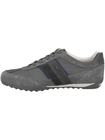 Geox Sneaker low U Wells C in dunkelgrau