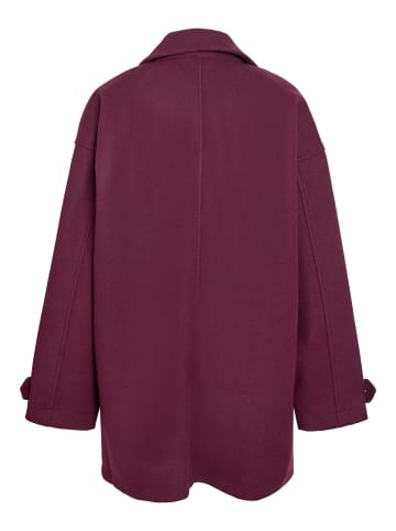 Noisy may Jacke in Fig1