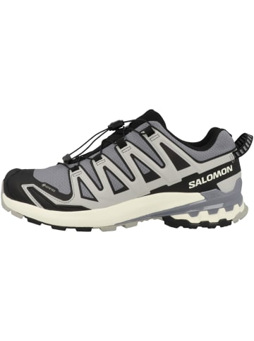 SALOMON Laufschuhe XA PRO 3D V9 GTX in grau