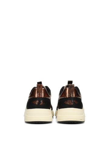 POSH by Poelman POSH By Poelman Kiki Damen Sneaker