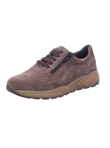 Solidus Sneaker Low in braun