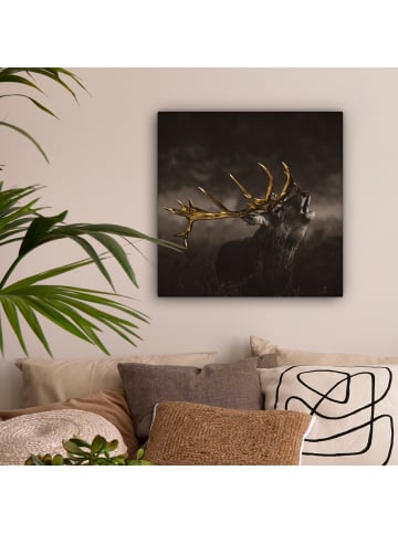 MuchoWow Leinwand Bilder Hirsch