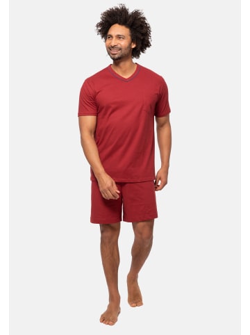 Ammann Schlafanzug Cotton Pure in Merlot