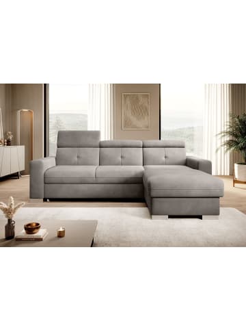 MF Design Falcon Recamiere Rechts in Mausgrau -  (L) 248 x (B) 248 x (H) 95 cm