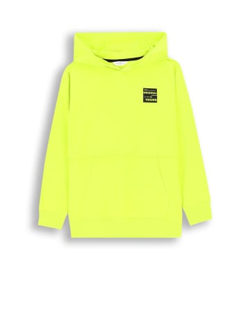 Coccodrillo Sweatshirt in limonengrün