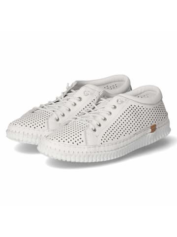 Andrea Conti Schnürhalbschuh in weiss