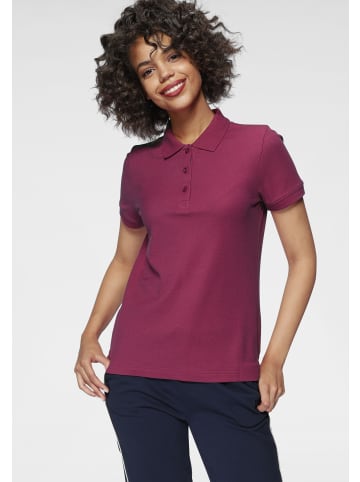 Eastwind Poloshirt in marine, beere