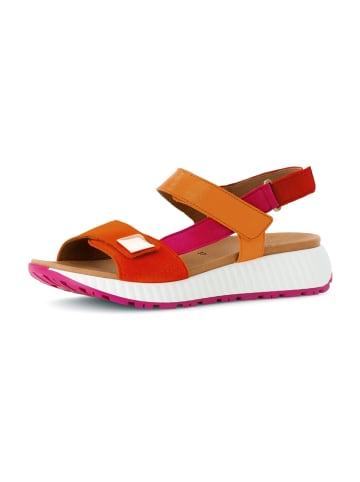 Gabor Trekkingsandalen in Bunt
