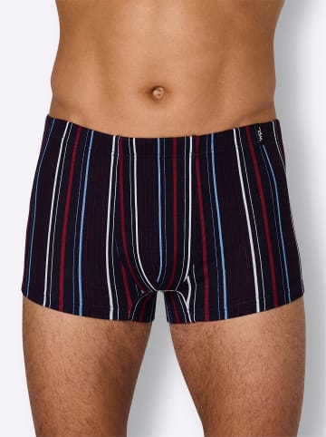 WITT WEIDEN Pants in marine + marine-gestreift