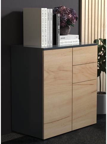 VCM  Kommode Sideboard Dalosa 4 Schublade in Anthrazit / Honig-Eiche