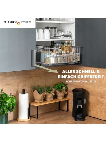 bremermann Korbauszug