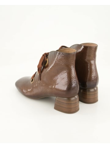 Hispanitas Schnürstiefeletten in Braun