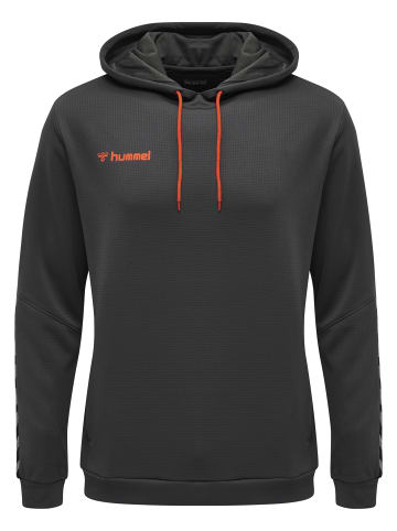 Hummel Kapuzenpullover Hmlauthentic Herren in ASPHALT