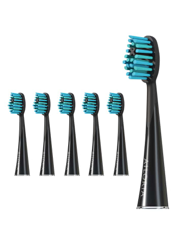 Ailoria SHINE BRIGHT Extra Clean Ersatzbürstenköpfe 6er Set in blau