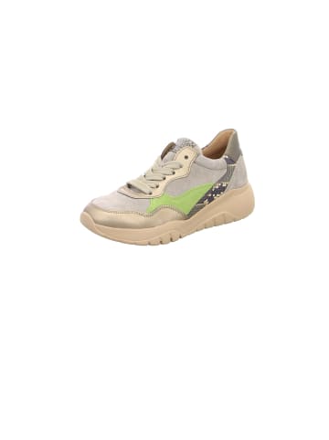 Gabor Sneaker für Damen in beige